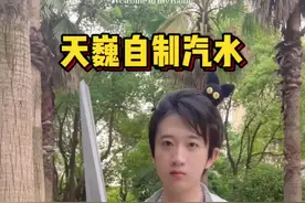 原来用松针叶真的可以做汽水！快去试一试！