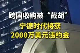 宁德时代将获2000万美元违约金 跨国收购锂资源遭“截胡”#财经 视频封面