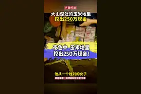 茫茫夜色中，玉米地里挖出250万现金！钱是谁的，为什么埋在大山深处的玉米地里呢？#巨款 #政媒原创作者联盟 #万万没想到 视频封面