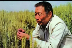 儿子举亡父照片坐#花车受阅，父亲是“小麦杂交之父”视频封面