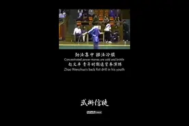 赵文卓老师通背拳演练！足见扎实功底#功夫 #传统武术 #武术 #通背拳 #武术入奥 #武术套路视频封面