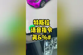 特斯拉语音指令在视频最后，记得截图保存#特斯拉 #特斯拉model3#每天一个用车知识#抖音汽车 #特斯拉modely@抖音短视频@DOU+小助手 