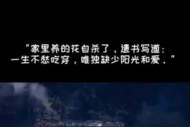 家里养的花自杀了，遗书写到：一生不愁吃穿。唯独缺少阳光和爱。