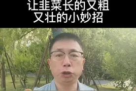 让韭菜长的又粗又壮的小妙招#种植小技巧 #蔬菜种植 #韭菜种植@抖音短视频 