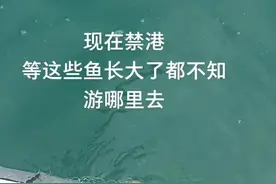 2021年5月1日12时休渔正式开始，至2021年8月16日开港，到了禁港乌齐就出来，长大跑去菲律宾#讨海人视频封面