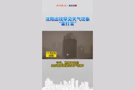 ＃沈阳出现罕见天气现象“雷打雪”  今早，熟睡中的你是否被轰隆隆的雷声惊醒?打雷了？这打的是什么雷?