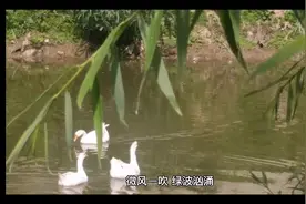 致敬70后！#愿所有美好如约而至视频封面