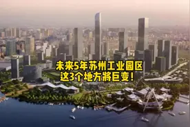 苏州工业园区3300亿二次造城计划落定，5年后园区长这样！ #苏州视频封面