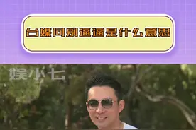 这届网友是懂文字的哈哈哈哈#汪小菲 #台媒问网友别逼逼是啥意思 #娱乐评论大赏