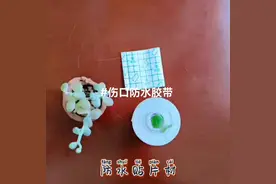 #伤口防水胶带 #游泳防水贴 #护脐贴 #好东西一起分享