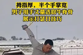 拇指厚，半个手掌宽，男子用手丈量选取牛脊骨，展示打瑟日技巧 #徒手打瑟日 #这是个技术活 #高手在民间 @铁锤（呼伦贝尔）