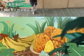 #向往的草台 二对登台的表演者是岳岳和何老师，师徒俩带来的也是相声《磨蔓儿》