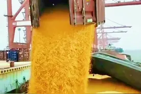 曾仕强师所预言的一些危机很快就 到来了,他说：请“世界的农业一定要重视起来”!请不要浪费粮食，请珍惜每一粒粮食，浪费粮食可耻！#中国海员#国学大师曾仕强 #预言成真 #珍惜粮食#粮食安全 视频封面