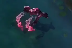 源计划塞拉斯炫彩⛓