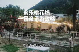 贵阳周边/遛娃推荐，永乐桃花坞一日亲子游玩攻略