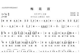 动态简谱伴奏精选100首《梅花泪》（葫芦丝音色版）
