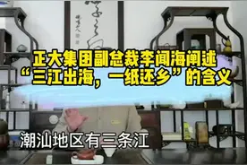 #正大集团 副总裁#李闻海 阐述“三江出海，一纸还乡”的含义 #潮商 #华侨 视频封面