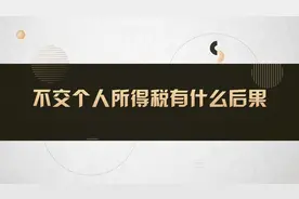 不交个人所得税有什么后果#法律 #法律咨询视频封面
