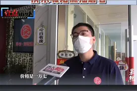 一万七买的布偶猫被人抱走，失主喊话偷猫者“快归还”视频封面