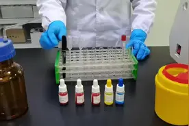 #ABORh血型的鉴定#交叉配血实验视频封面