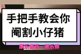 手把手教会你阉割小公猪#实用技术分享 #猪病防控 #养殖技术