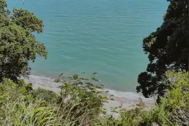 艳艳夏日，奥克兰的天体浴场人气火了视频封面