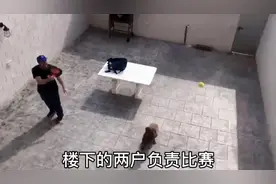 西班牙人足不出户，三户邻居玩一场板球赛！#宅家运动会 #宅在家视频封面