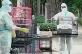 网友围观全国首个“宠物方舱”：深圳，不愧是你！