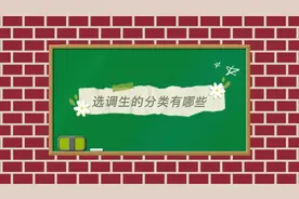 选调生的分类有哪些？#选调生 #选调生考试 #公考 #应届生视频封面