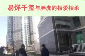 #易烊千玺 易烊千玺:来嘛！胖虎！胖虎:滚！视频封面