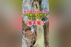 老虎骨头碰不得。男子在国外拾得虎骨一根带回国内被判刑5年。法院：已构成走私珍贵动物制品罪。视频封面