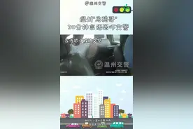 警察克制不是你无理取闹的理由，该处理还是会处理！