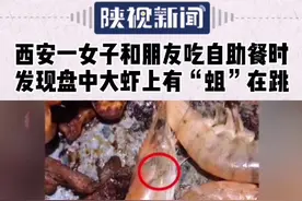 西安一女子和朋友吃自助餐时，发现盘中大虾上有“蛆”在跳！食客投诉、店方报警！视频封面