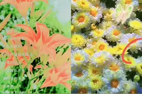 和  一起 #合拍 你给我发语音了吗？你给我发微信了吗