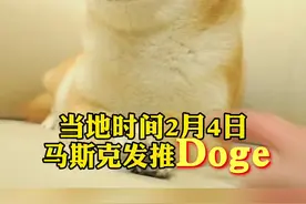 #马斯克 推特再发威，#马斯克发推Doge狗狗币暴涨 超76%视频封面