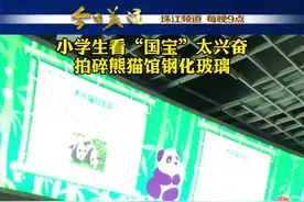 小学生太兴奋拍碎熊猫馆钢化玻璃。园方：目前碎掉的那面玻璃，只是外层玻璃破碎，内层仍然是完好的。视频封面