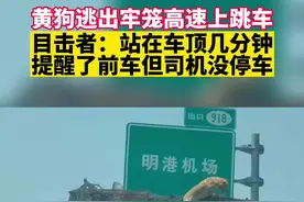 7月15日，河南驻马店。黄狗逃出牢笼高速上跳车，目击者：站在车顶几分钟，提醒了前车但司机没停车视频封面