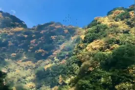 远赴人间惊鸿宴，一睹人间盛世颜，愿所求皆如愿，愿所盼皆可期