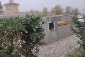 转发自快手极速版：与机器人对话未来20种工作消失。视频封面