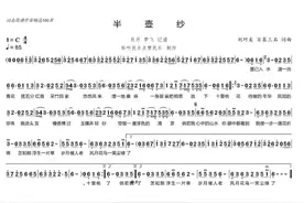 动态简谱伴奏精选100首《半壶纱》