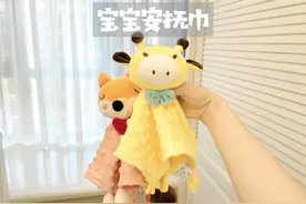 #母婴好物 宝宝喜欢咬蹭被子的 安抚巾可以安排上了视频封面