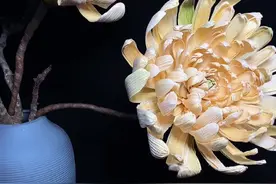 你们要的玉米皮菊花教程来喽，煮过的玉米皮一定要晒干，扭花瓣的时候玉米皮太脆可以喷点水更好扭哟#玉米皮#菊花