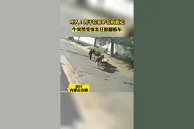 吓人！男子拉着驴在前面走，牛突然受惊发狂掀翻板车 #惊险一幕 #猝不及防 #危险瞬间 @嗨韩丹视频封面