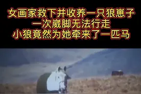 这是一个真实的故事，四川的野生动物女画家李微漪，收养了一直小狼“格林”，并最终帮助格林重返狼群。