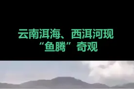 云南洱海、西洱河现“鱼腾”奇观 大量鱼儿跳出水面如“鱼跃龙门”视频封面