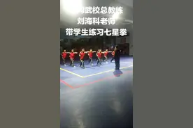 塔沟武校总教练刘老师带学生练习七星拳！！！视频封面