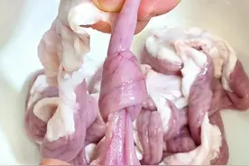 之前很多朋友问粉肠怎么洗，今天分享一下我自己是这样处理的，我只洗一面，另一面不洗。#粉肠 #奶声奶气 