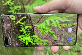 秒天秒地的华为手机来了  三星顶级屏幕  120hz刷新率视频封面