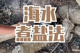 海水提取盐分的正确方法，现在你知道了么#户外 #探险 #野外生存 #旅行