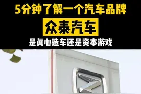 众泰简史：理不清的家族关系，出不来的国6车型 #抖音汽车百问 #抖出车文化